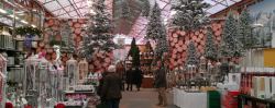 Vroege kerstzooi bij Tuincentrum Osdorp