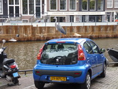 Prinsengracht Reiger Op Peugeot - © Arnoud De Jong