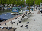 Rijpgracht - © Arnoud De Jong_1