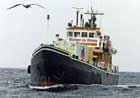 Women on Waves<br />Foto: epa.<br />[Klik voor vergroting]